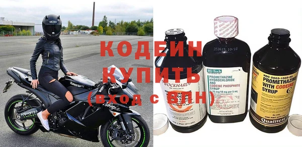 молекула духа Елабуга