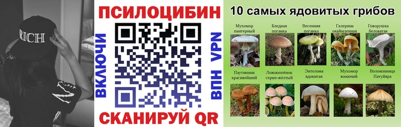 Псилоцибиновые грибы Cubensis  что такое   Каменск-Шахтинский 